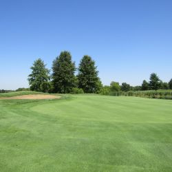 West 5 green